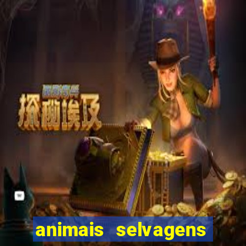 animais selvagens fotos e nomes